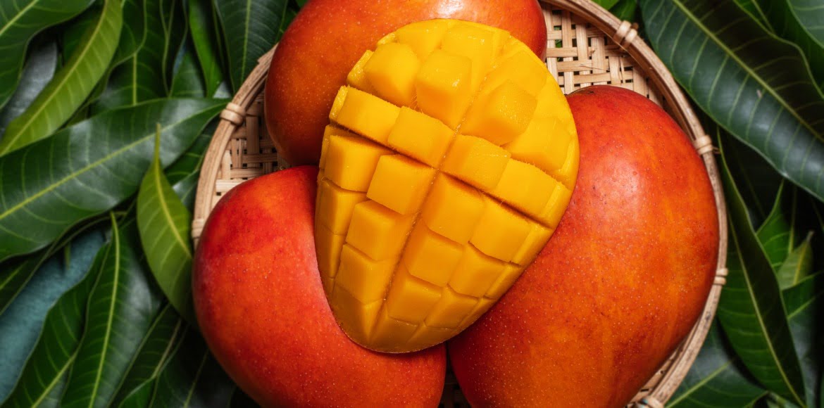 Can Sugar Patient Eat Mango Learn how to include in the diet