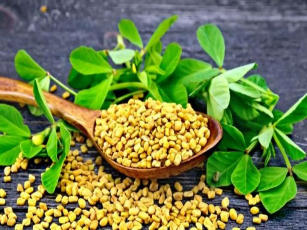 Make hair beautiful with fenugreek leaves, know how to make Natural Hair Color Powder