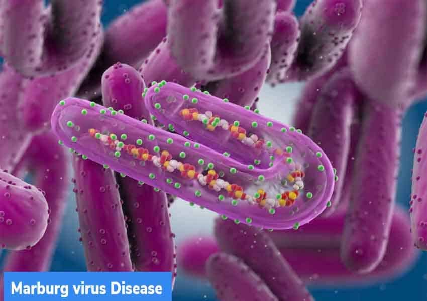 Marburg-virus