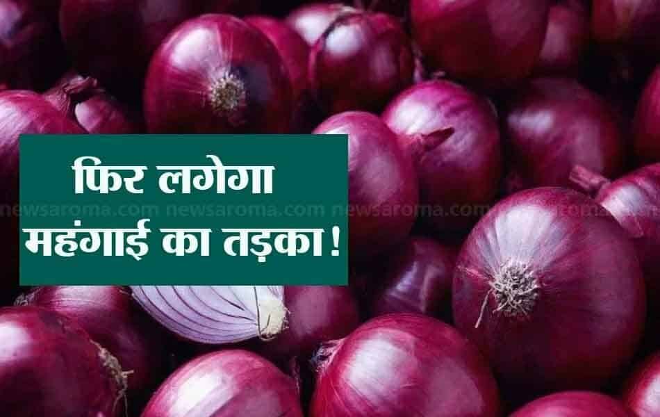 Onion