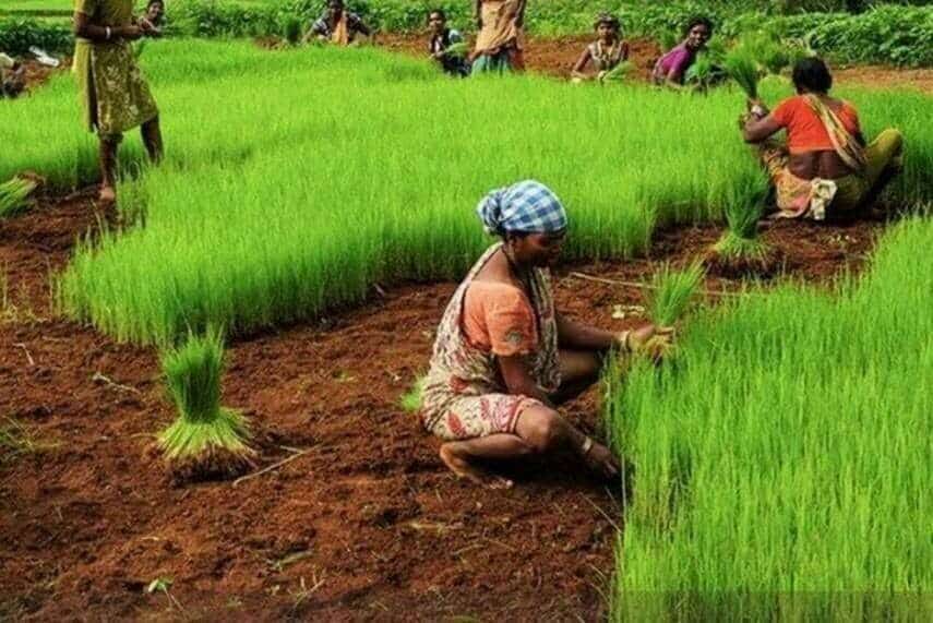 Palamu farmers Training
