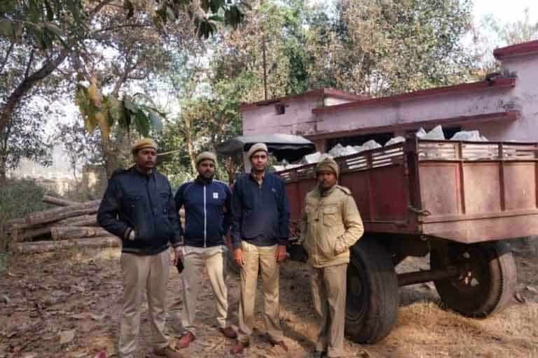 seized illegal stone