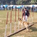 जमशेदपुर: लोयला ग्राउंड में तीन दिवसीय डॉग शो का आयोजन