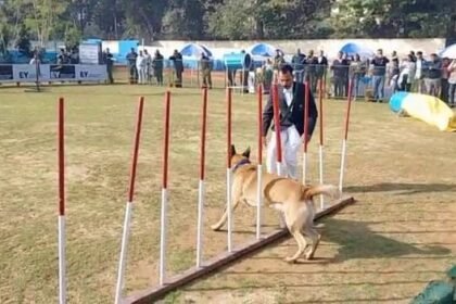 जमशेदपुर: लोयला ग्राउंड में तीन दिवसीय डॉग शो का आयोजन