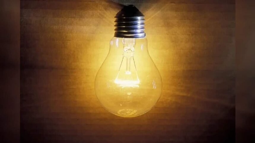 Bulb