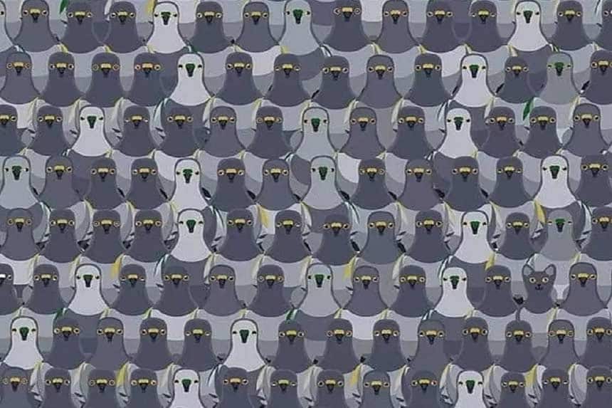 Optical Illusion