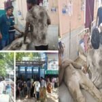 Bihar's Gopalganj10 electrocuted during Moharram procession