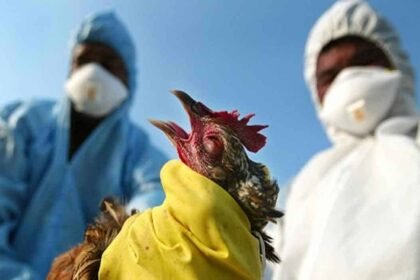 Bird Flu! Beware Cases have been found in many states of the country, Like Maharashtra, Himachal Pradesh, Haryana, Rajasthan, Madhya Pradesh.