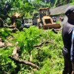 Ranchi Ratu Road A tree suddenly fell two people were injured