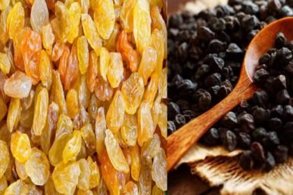 Soaked black gram, along with raisins, include in the diet, make bones strong
