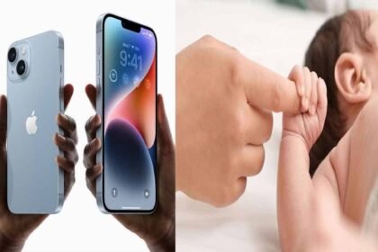 To buy iPhone 14, a deal was made for a piece of the liver of 8 months.