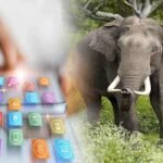 jharkhand-forest-department-launches-mobile-alert-app-to-prevent-elephant-menace