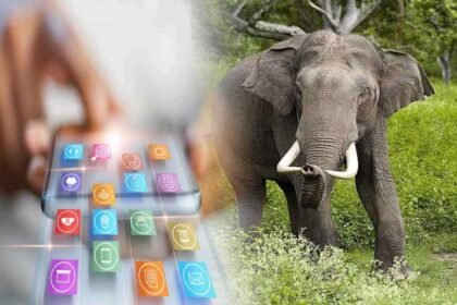 jharkhand-forest-department-launches-mobile-alert-app-to-prevent-elephant-menace