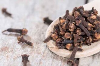 Clove is very useful Fake Cloves in Market