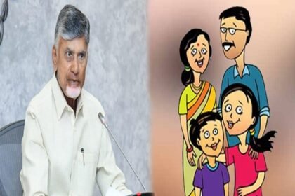 CM Chandrababu Naidu