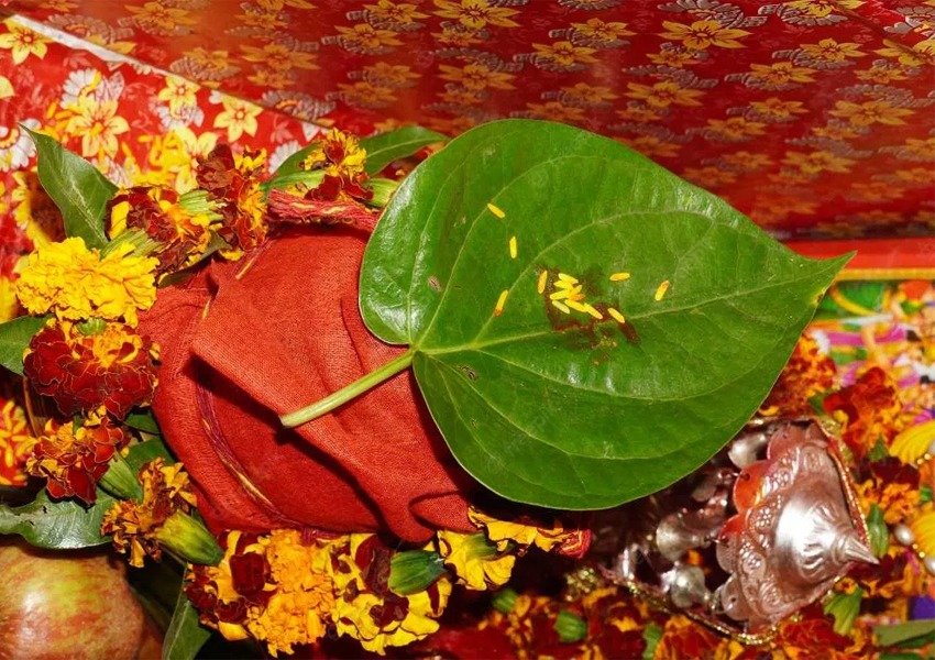 Do these remedies related to betel leaf in Navratri, surefire ways to get success, love and money in life