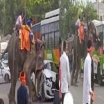 Elephant created havoc in Dussehra procession, overturned vehicles on the road, one died