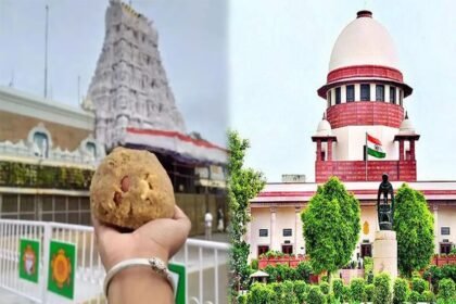 Independent SIT should investigate Tirupati Laddu controversy, Supreme Court suggested…
