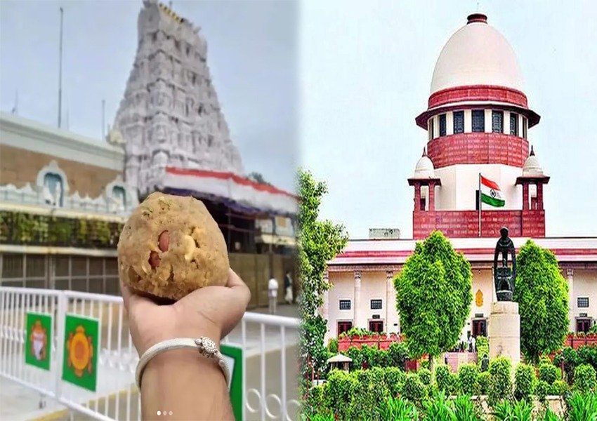 Independent SIT should investigate Tirupati Laddu controversy, Supreme Court suggested…