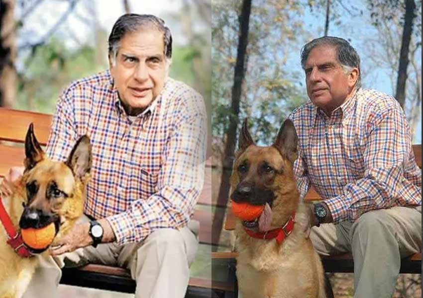 Ratan Tata did not Receive the honor for DOG