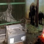 Bhagwan Birsa Biological Park