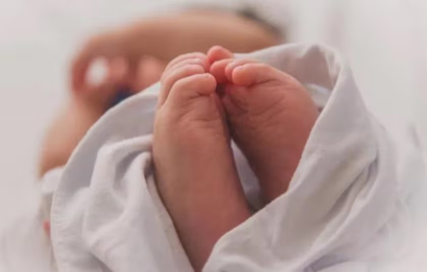 Newborn