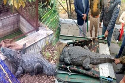 IT Raid on Harvansh Singh Rathore House