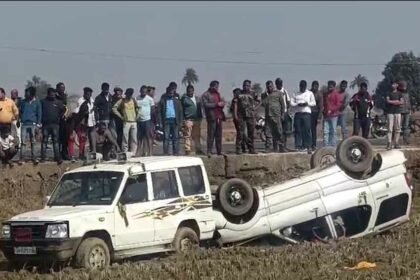 Safari-Car-Collision-with-CO-Car