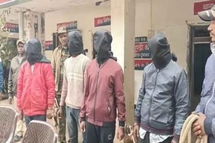 gang members arrested