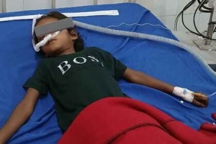 koderma diseases