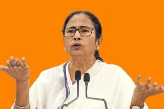 mamta