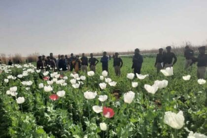 palamu police rescue afim