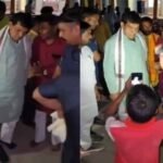 Yogi Government