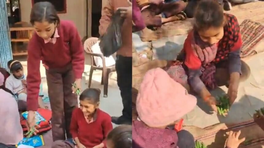 Mid-Day Meal Scheme aligarh