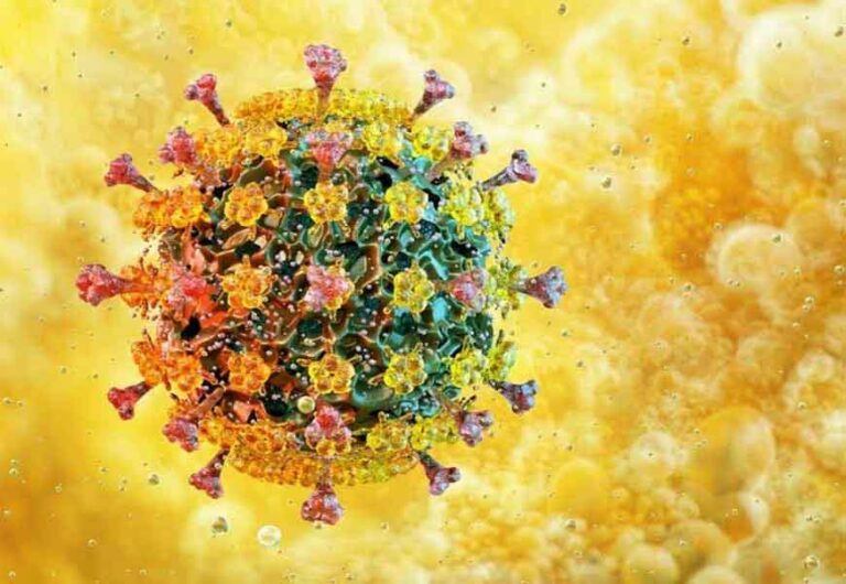 खतरनाक वायरस एवियन फ्लू के कहर से सहमा देश का ये राज्य, 21 दिन के लिए बाजार बंद