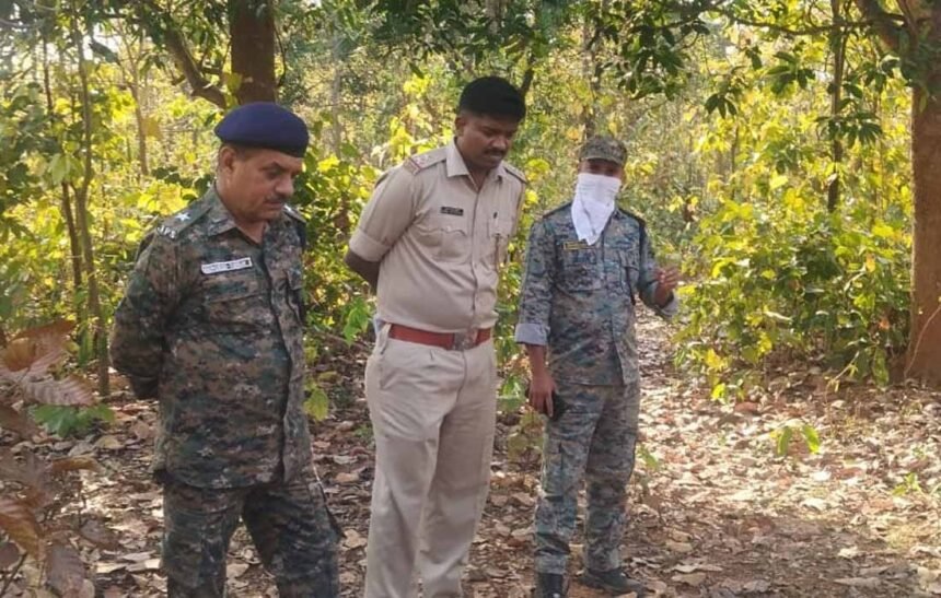 Burnt body of a woman found in the forest