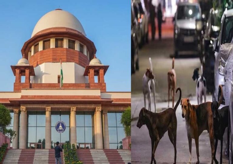 सुप्रीम कोर्ट का बड़ा फैसला!, रेबीज के खतरे वाले कुत्तों को सड़कों पर नहीं छोड़ा जाएगा, शेल्टर होम में रखने का आदेश