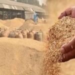 Paddy Procurement Begins in Jharkhand