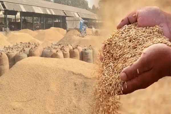 Paddy Procurement Begins in Jharkhand