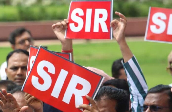 Check your SIR Data from Home