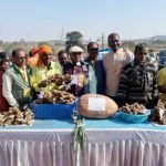 Agricultural Fair in Nagdi
