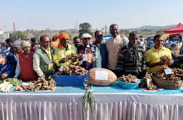 Agricultural Fair in Nagdi