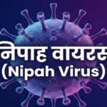 Jharkhand on Alert for Nipah virus