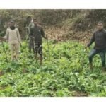 Police Action in Ranchi Forest Area