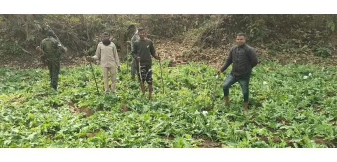 Police Action in Ranchi Forest Area