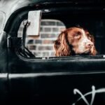 Young Man was Brutally Beaten