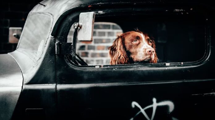 Young Man was Brutally Beaten