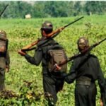 Decline in Naxal Cases