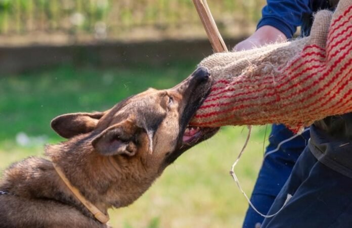 Jharkhand is set to become rabies-free by 2030, with anti-rabies clinics in every district.