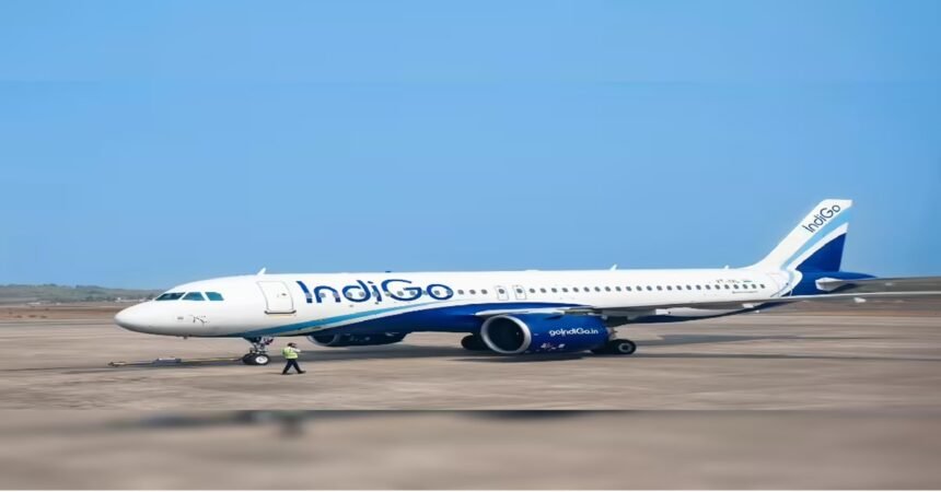 INDIGO